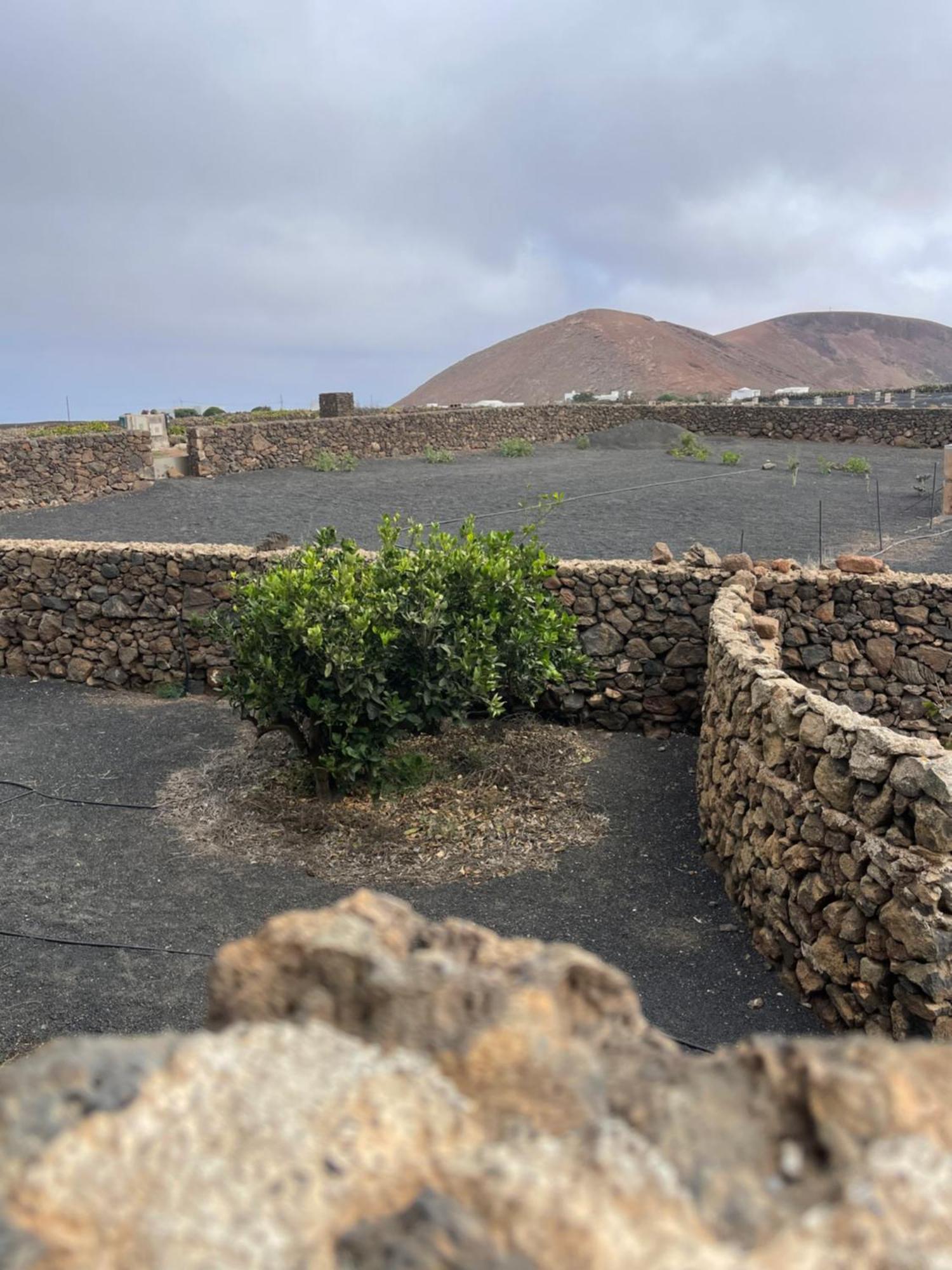 Villa Timanfaya Tinajo Ngoại thất bức ảnh